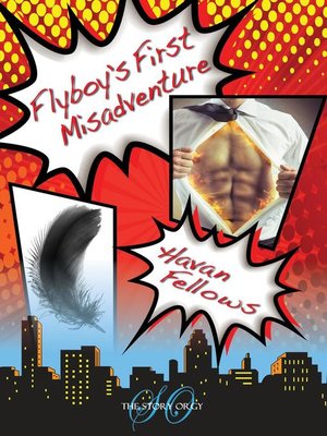 cover image of Flyboy's First Misadventure